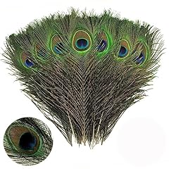 Nhcdfa peacock feathers for sale  Delivered anywhere in Ireland