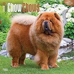 Chow chows 2016 d'occasion  Livré partout en France