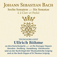 Sonaten gebraucht kaufen  Wird an jeden Ort in Deutschland