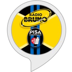 Radio bruno casa usato  Spedito ovunque in Italia 