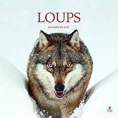 Calendrier loups d'occasion  Livré partout en Belgiqu