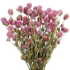 Cisdueo dried flower for sale  Delivered anywhere in USA 