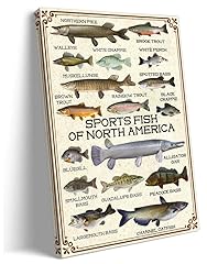 Sports fish north for sale  Delivered anywhere in USA 