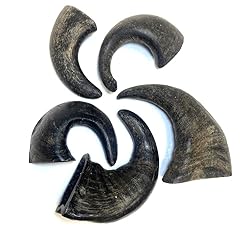 Small buffalo horns for sale  Delivered anywhere in UK