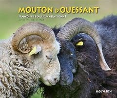 mouton d ouessant d'occasion  Livré partout en France