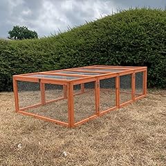Bunny business guinea for sale  Delivered anywhere in UK