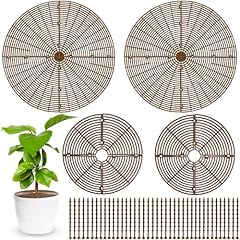 Srmayyi pcs plant for sale  Delivered anywhere in USA 