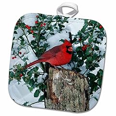 3drose northern cardinal for sale  Delivered anywhere in USA 