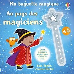 Pays magiciens baguette d'occasion  Livré partout en France