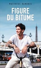 Figure bitume d'occasion  Livré partout en Belgiqu