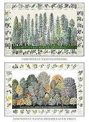 Tree poster mini for sale  Delivered anywhere in USA 