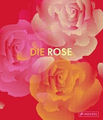 Die rose fotografie usato  Spedito ovunque in Italia 