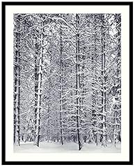 Framed art print for sale  Delivered anywhere in USA 