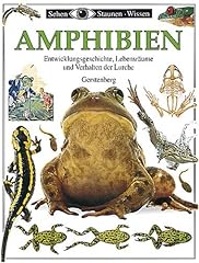 Staunen wissen amphibien gebraucht kaufen  Wird an jeden Ort in Deutschland