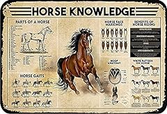 Horse knowledge metal for sale  Delivered anywhere in USA 
