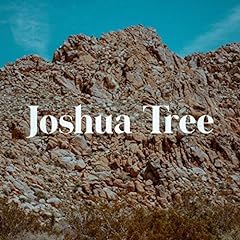 Joshua tree d'occasion  Livré partout en France