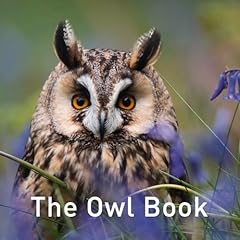 Owl book for sale  Delivered anywhere in UK