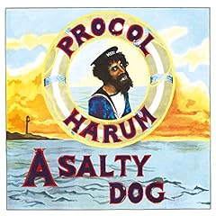 Salty dog usato  Spedito ovunque in Italia 
