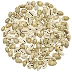 Naturosphère mer coquillages d'occasion  Livré partout en France