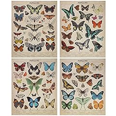 Spiareal butterflies poster for sale  Delivered anywhere in USA 
