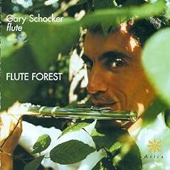 Flute forest d'occasion  Livré partout en France