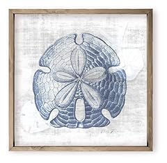 Sand dollar beach for sale  Delivered anywhere in USA 