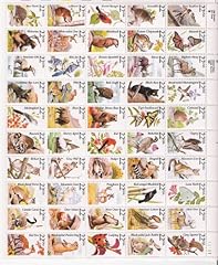 North american wildlife for sale  Delivered anywhere in USA 
