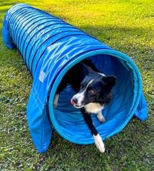 Callieway dog agility usato  Spedito ovunque in Italia 