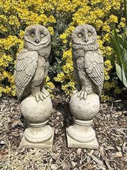 Pair barn owl for sale  Delivered anywhere in Ireland