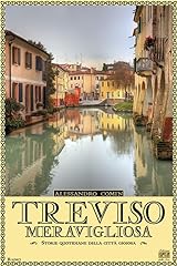 Treviso meravigliosa. storie usato  Spedito ovunque in Italia 