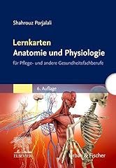 Lernkarten anatomie physiologi gebraucht kaufen  Wird an jeden Ort in Deutschland