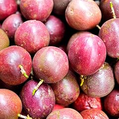 Purple passion fruit for sale  Delivered anywhere in USA 