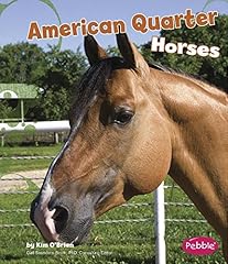 American quarter horses for sale  Delivered anywhere in USA 
