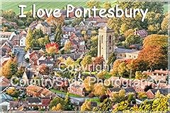 Love pontesbury fridge for sale  Delivered anywhere in UK