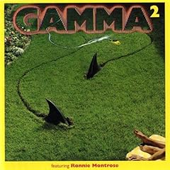 Gamma import d'occasion  Livré partout en France
