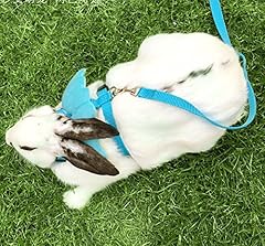 Hypeety rabbit harness for sale  Delivered anywhere in USA 