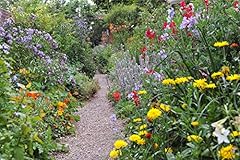 Twelve cottage garden for sale  Delivered anywhere in UK