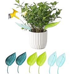 Irisfly 6pcs plant for sale  Delivered anywhere in USA 