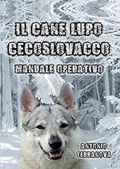Cane lupo cecoslovacco usato  Spedito ovunque in Italia 