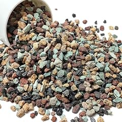 Yiszm succulent cactus for sale  Delivered anywhere in USA 