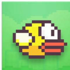 Flappy bird usato  Spedito ovunque in Italia 