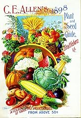 Slice time 1898 for sale  Delivered anywhere in USA 