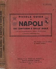 Piccola guida napoli usato  Spedito ovunque in Italia 