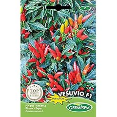 Germisem chilli vesuvio gebraucht kaufen  Wird an jeden Ort in Deutschland