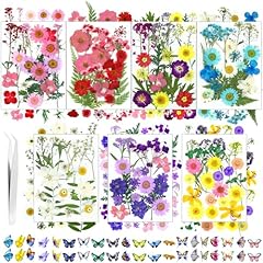 190 pcs dried for sale  Delivered anywhere in USA 