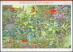 Hawaiian rain forest for sale  Delivered anywhere in USA 