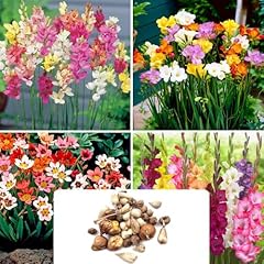 Piece garden bulb for sale  Delivered anywhere in UK