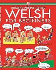 Welsh beginners 1 for sale  Delivered anywhere in UK