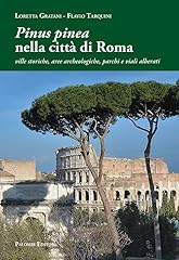 Pinus pinea nella usato  Spedito ovunque in Italia 