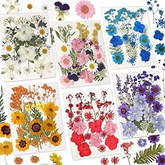 Convelife dried flowers for sale  Delivered anywhere in USA 